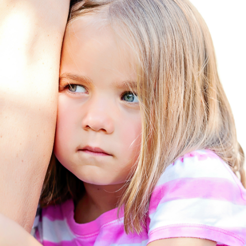 Divorce Lawyer Edmonton Child Support Payments