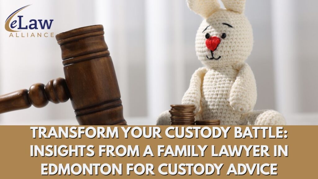 Family lawyer in Edmonton for custody advice